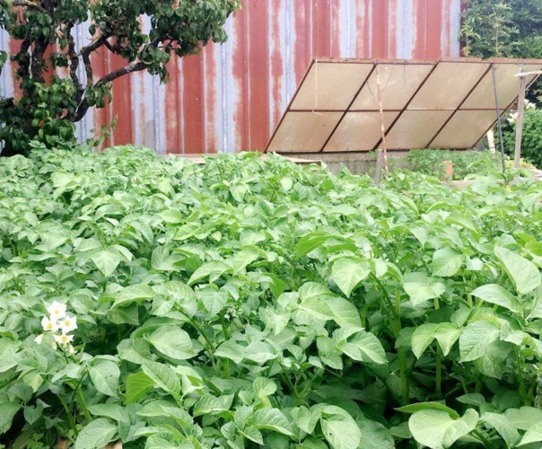 Les jardins de Bel-Air