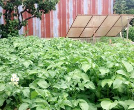 Les jardins de Bel-Air