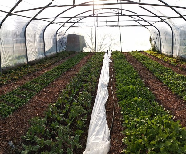 Les Jardins de Lilie