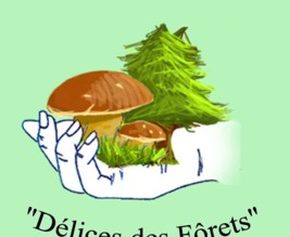Délices des forêts
