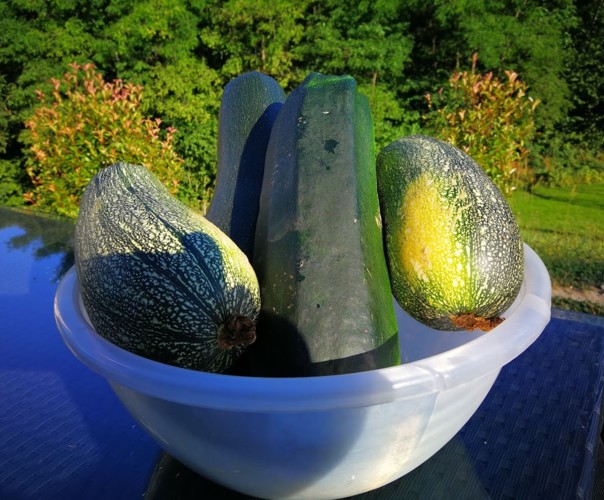 Légume de Bellecombe