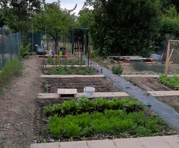 Le potager enchanté