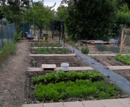 Le potager enchanté