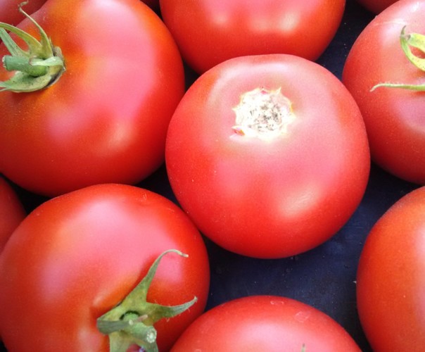 La Ferme de l'Aubette