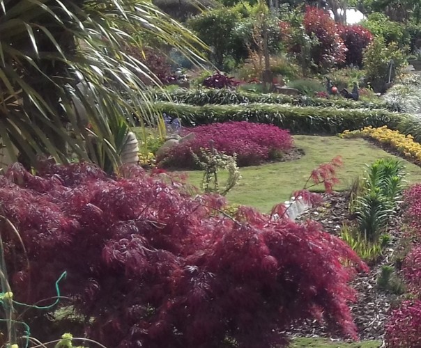 Jardin éco-nature-bio