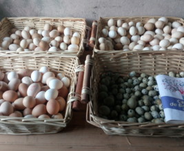 Jardin fermier les mille idées