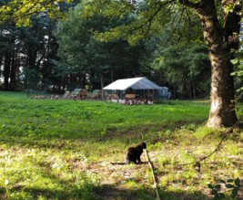La Poule Guegonnaise