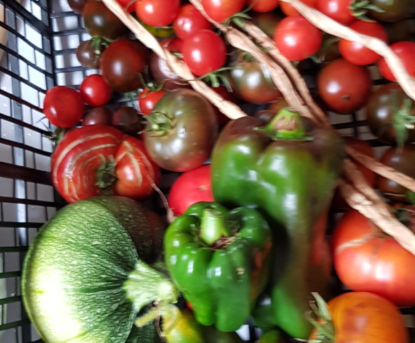 le jardin de Samsara