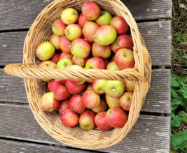 verger Alix et Marion