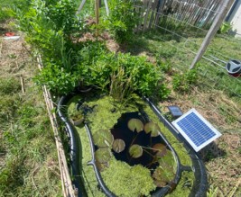 Le jardin des éveils