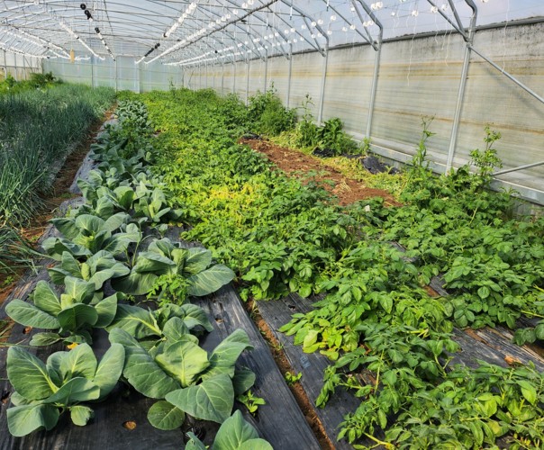 Serres des Princesses