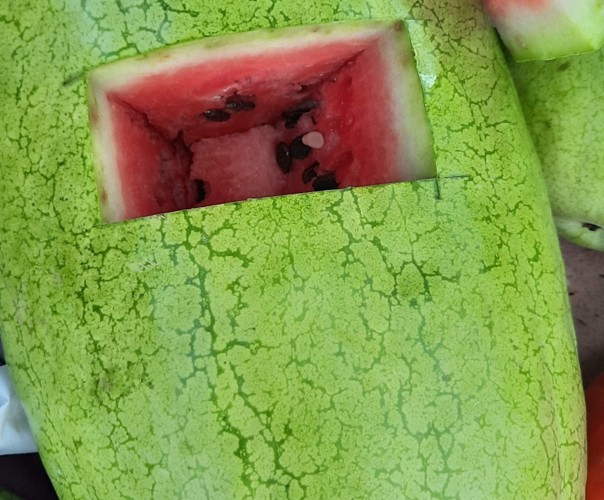 Pastèque-Melon-Courges-Tomate-Concombre.