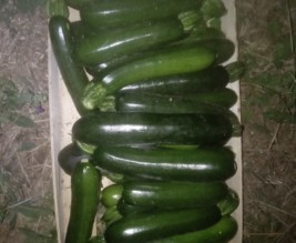 Domaine de Fenières