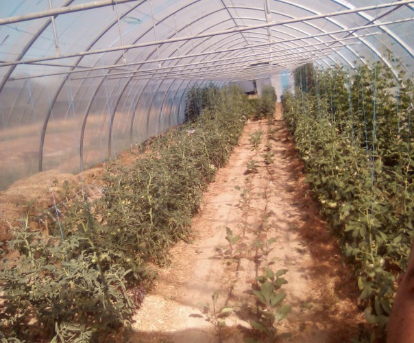 Aux Jardins Célestes