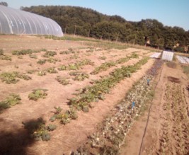 Aux Jardins Célestes