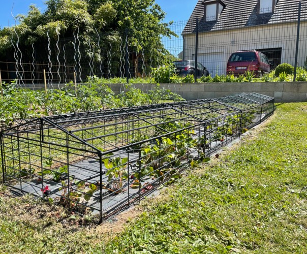 Le potager de Baptiste