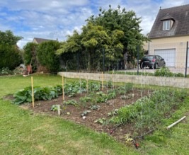 Le potager de Baptiste