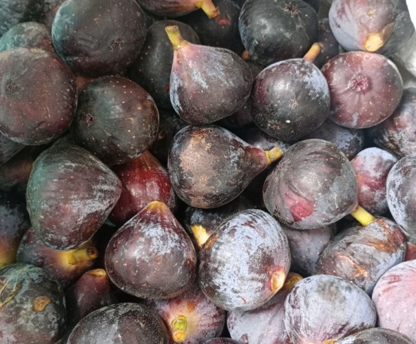 Jardin du Pays de Nay