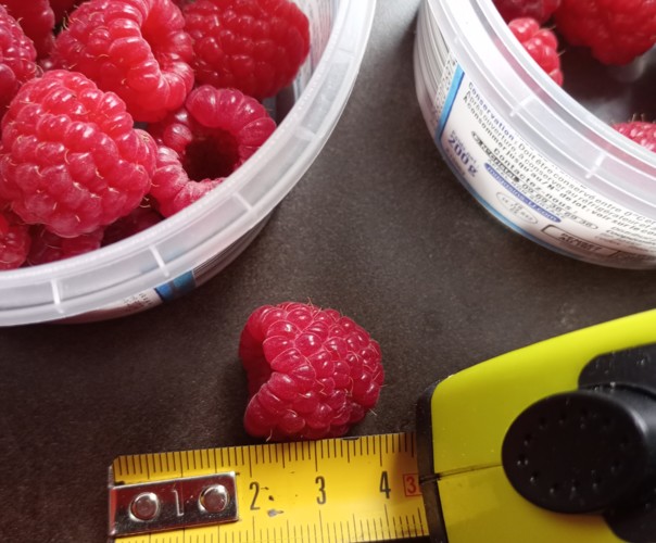 Jardin du Pays de Nay