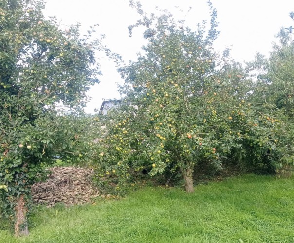 Le banquet de Créniel