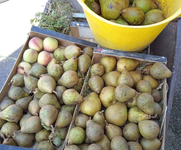 Le banquet de Créniel