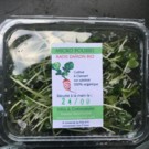 Autre  Barquette de Micro Pousses de Radis Daïkon  