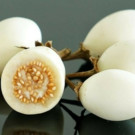 Graines  Aubergine Blanche ronde à oeuf - Graines x1  