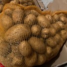 Pomme de terre  12,5kg  