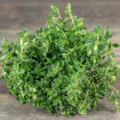 Thym  Thym citronné frais  