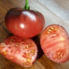 Tomates  Blue beauty  