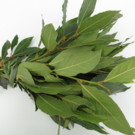 Laurier  Laurier sauce  