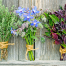 Autre  3 aromates surprises (Marion)  