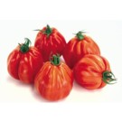 Graines  tomates aumônière sachets 30 graines  