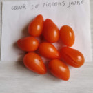 Graines  tomates cœur de pigeons jaune sachet de 30 graines  