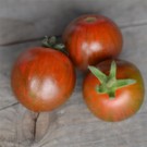 Graines  tomate black zébra Cocktail 30 graines  