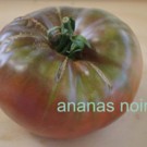 Graines  ananas noir en sachet de 30 graines  